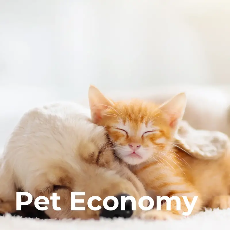 Pet Economy