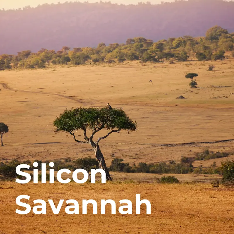 Silicon Savannah
