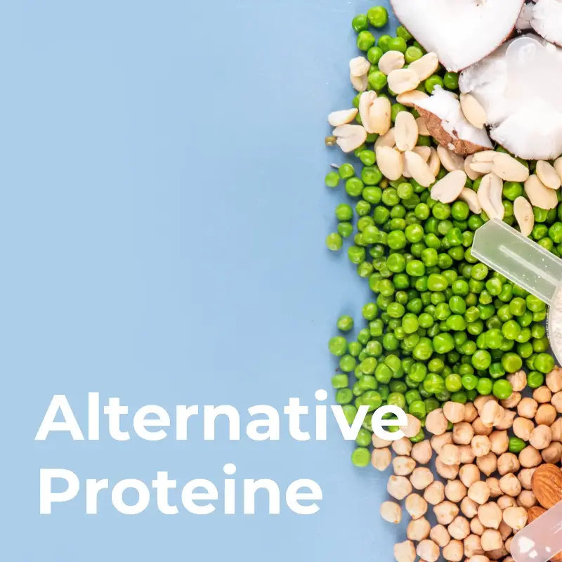 Alternative Proteine