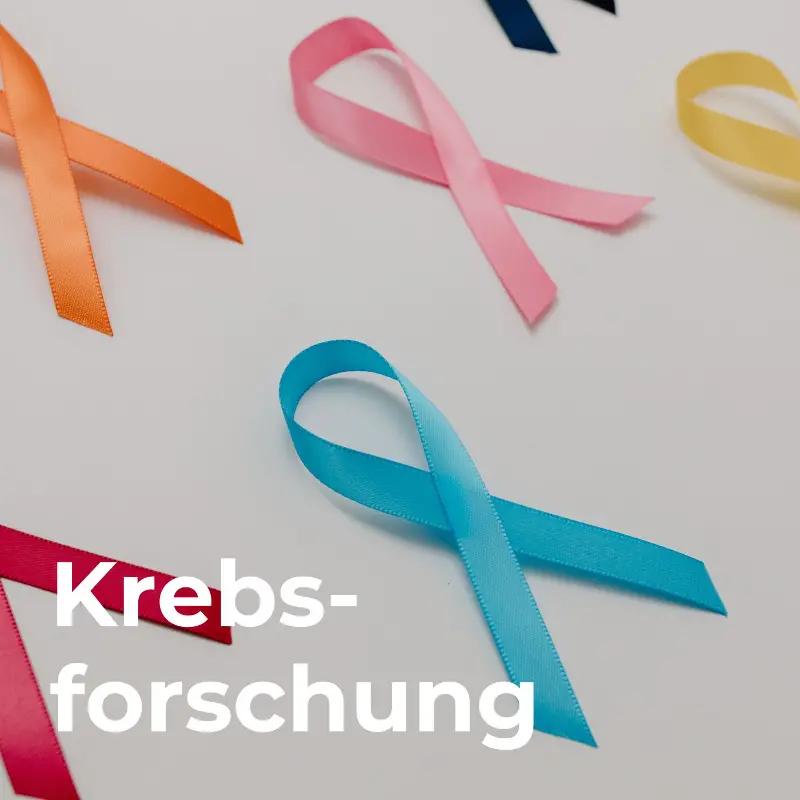 Krebsforschung